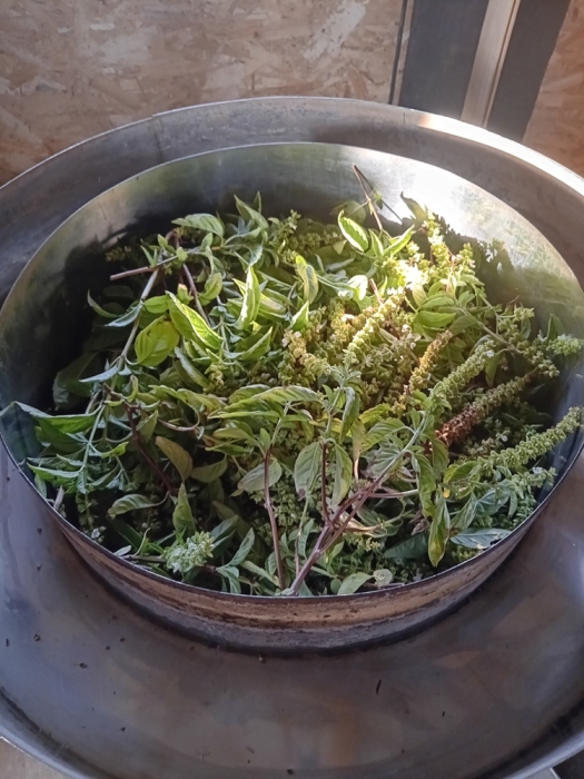 Spray pentru picioare - Antibacterian-Tonic Relaxant - 200 mililitrii (3)